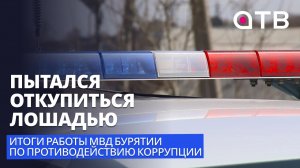 Пытался откупиться лошадью. Итоги работы МВД Бурятии по противодействию коррупции за 2025-й
