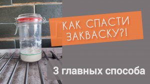 Закваска не растет? Странно пахнет? Срочная терапия: раскрываю секреты!