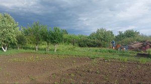 Утренние разговоры и дела домашние / В сад в любую погоду 😁