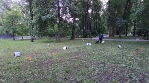 РО1_Минаева_Светлана_Кекс_Кубок_Панды_2026_по_Ралли_Обидиенс_онлайн.mp4
