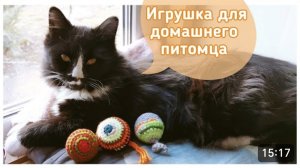 Мячик для КОТА / СОБАКИ крючком