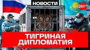 Россия передала Астане четырех амурских тигров для восстановления вымершего вида