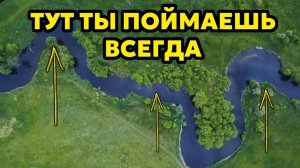 100% ГАРАНТИЯ: 3 точки на реке, где белый хищник ЕСТЬ ВСЕГДА