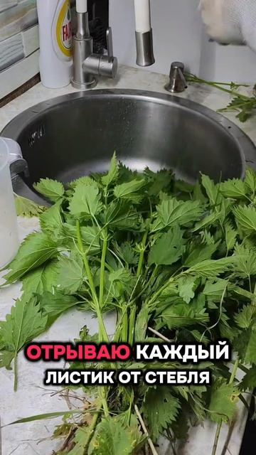 Жёсткий ответ крапиве