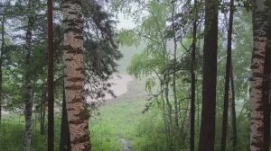 СТАРИННОЕ ОСТЯЦКОЕ БЛЮДО-ЩУЧЬИ ПОТРОШКИ