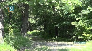 В Белгородской области подсчитали количество животных и птиц, на которых возможна охота