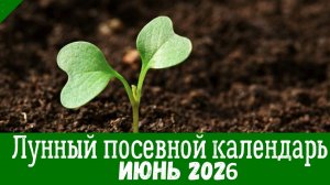 КАЛЕНДАРЬ САДОВОДА-ОГОРОДНИКА НА ИЮНЬ 2026. Что и когда посеять в июне по лунному календарю?