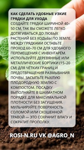 Как сделать удобные узкие грядки для ухода