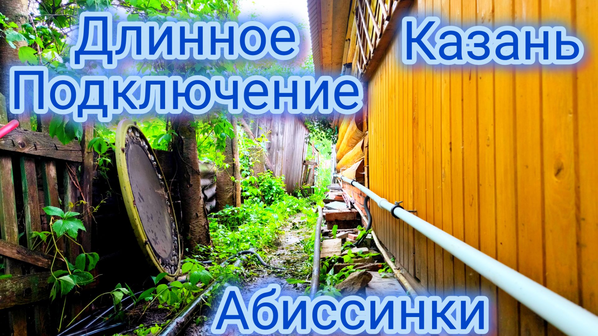 Абиссинская скважина - правильны выбор смотреть онлайн