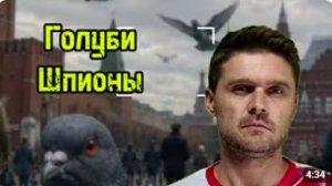 ГОЛУБИ ДРОНЫ-ШПИОНЫ ГДЕ ИХ Птенцы
