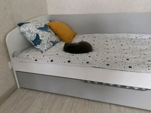стрим