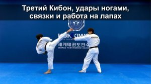 Третий Кибон Тондяк - Сон Ки Суль, базовые удары ногами тхэквондо, связки и работа с лапами.