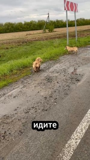 Откуда вы тут взялись?