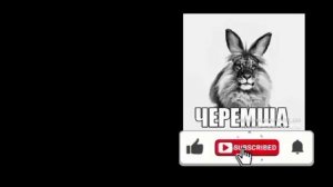 Эдит черемша