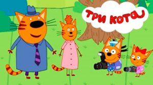 Три Кота — Мультфильм для Детей | Сборник Приключений | Смотреть Три Кота Сборник