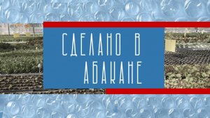 Конкурс «Абаканский сувенир»