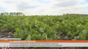 Аграрии Мордовии завершают полевые работы, в России подвели промежуточные итоги посевной