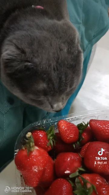 Дымочек и клубника 😁
