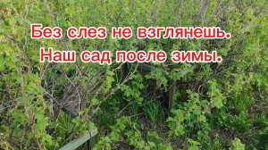 Суровая зима оставила свой след...
