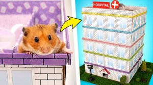 5-уровневый лабиринт-больница для хомяка своими руками 🐹