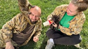 Мы с Денисом КОРМИМ ВОЛЧАТ, а Анфиса ВЫРЫВАЕТ НАМ ВСЕ ВОЛОСЫ, каждый занят делом))