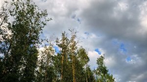 Спокойная музыка без слов для Души. Спокойная фоновая музыка для Стихов, Чтения, Работы, Учёбы
