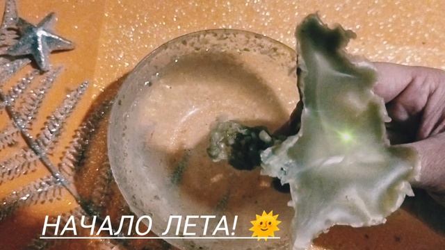 Начало Лета!!!🌞