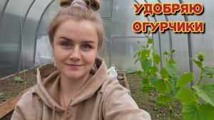 Купили окна и входную пластиковую дверь/новые саженцы/распаковка.