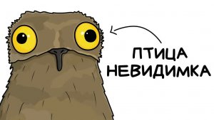 Ты — Исполинский Козодой (И ЭТО ВСЯ ТВОЯ ЖИЗНЬ)