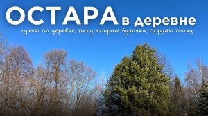 Простая жизнь в деревне | весеннее равноденствие и наши традиции на остару