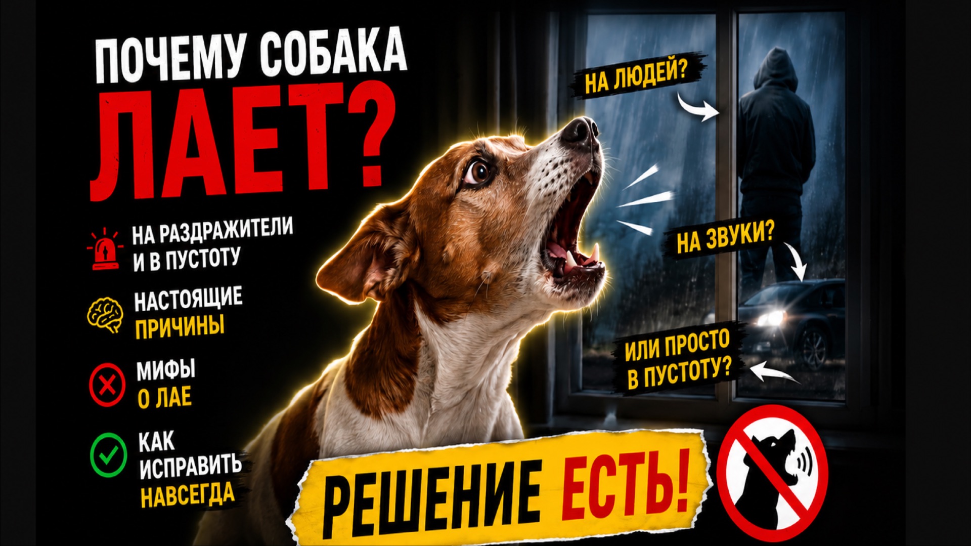 Почему собака лает дома? Настоящие причины и как это исправить
