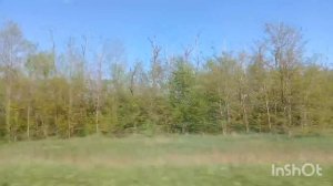 обо всём по немногу архив