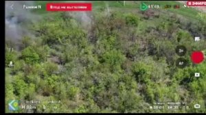 В полях Днепропетровской области штурмовики ВСУ продолжают вести бесконечные«гонки со смертью«в тщет