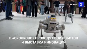 В «Сколково» проходят бои роботов и выставка инноваций