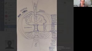 2026.05.27 НИР ОНГ Методология и теория Общества / Правьславие / Василиса / Целостная модель