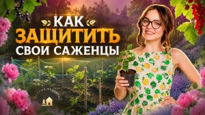 🌱 Как защитить саженцы от животных