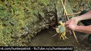 🌲Один день в горах: сбор разноцветных лесных крабов, уход за фермой и животными Жизнь в высокогорье