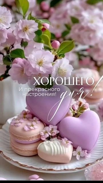 Screenrecorder-2026-05-28-13-48-49-453.mp4 смотреть онлайн