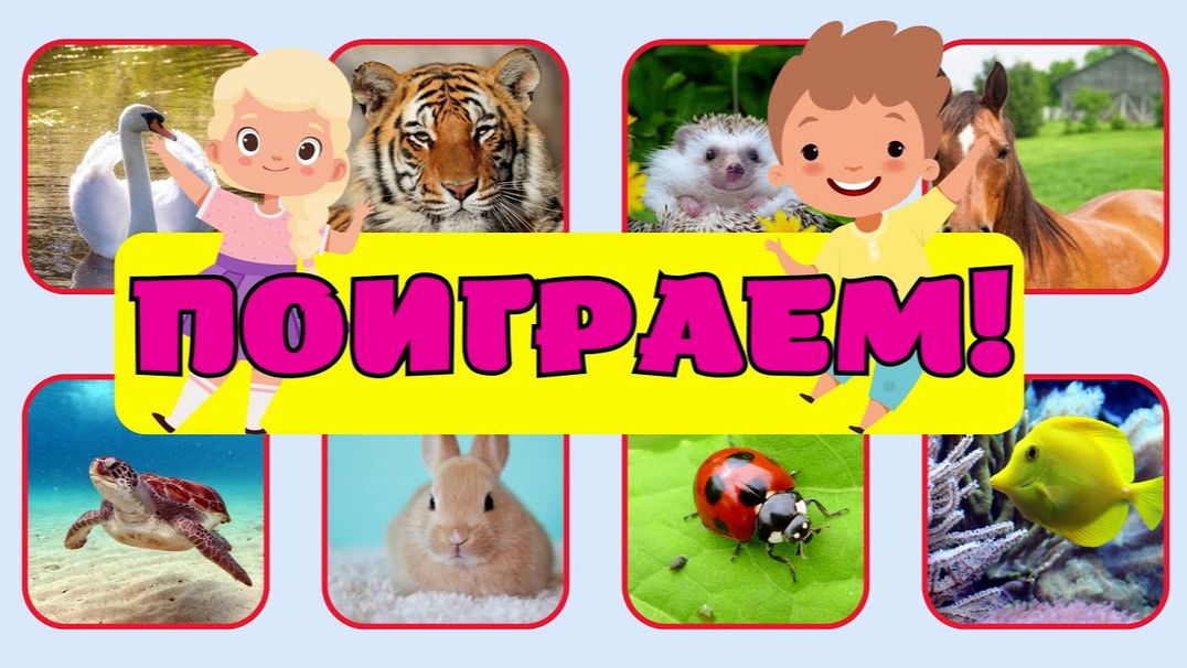 Развивающие мультики для детей/Учимся ИГРАЯ/Развивашки для малышей