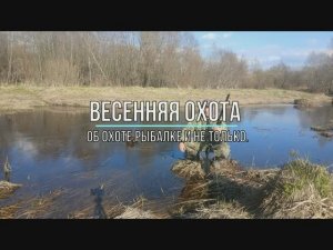 Весенняя охота.