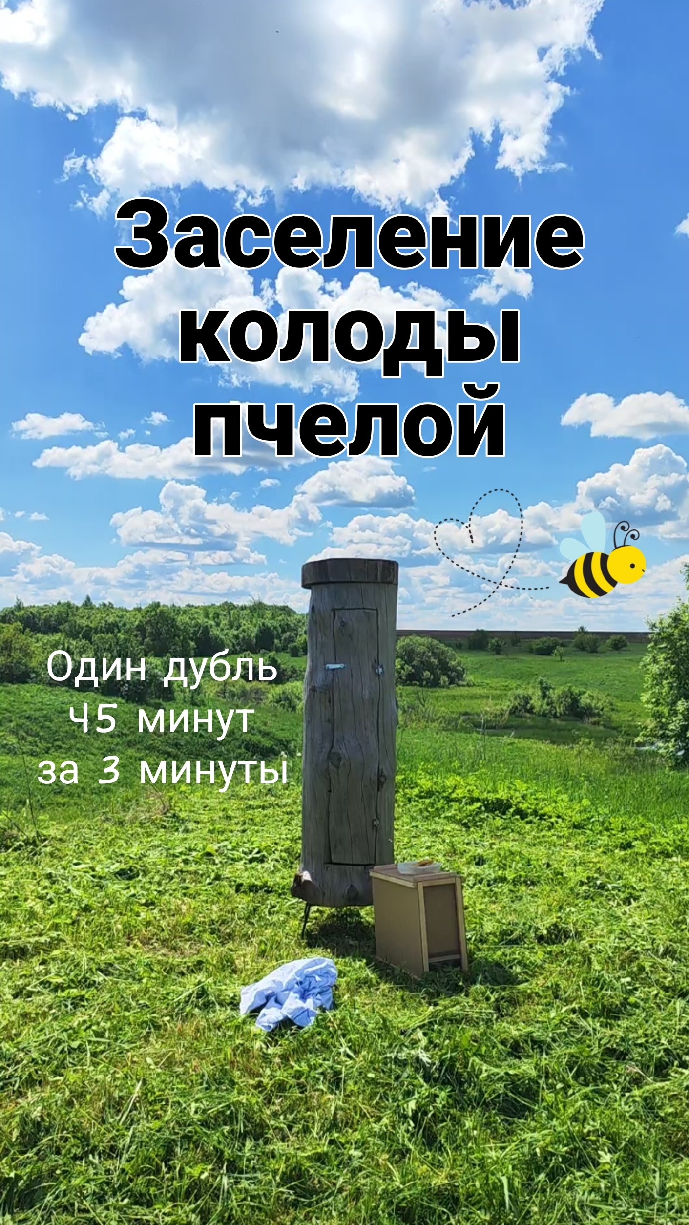Первый опыт заселения колоды пчелой🐝 смотреть онлайн