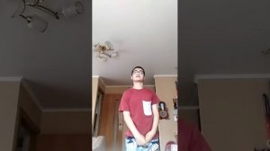 Пою песню батарейка