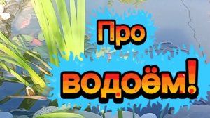 Про водоём!
