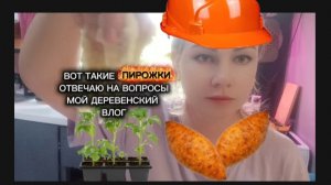 Отвечаю на вопросы. Влог в деревне. Деревня. Мои пирожки. Стряпаю в деревне