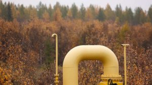 Европа еще минимум полгода будет закупать газ по завышенным ценам