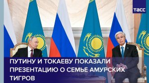 Путин и Токаев ознакомились с видеопрезентацией, посвященной судьбе амурских тигров