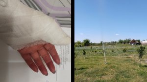 28-05-2026 Болталка. Получила травму, не могу вязать.