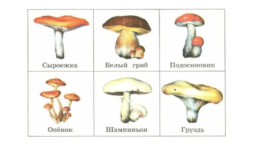 Развитие внимания у школьников. Занятие 14.