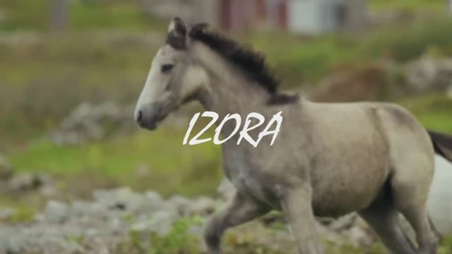 Izora - "TFM Project"