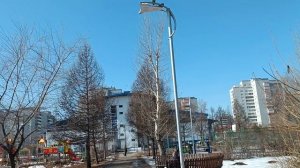 Прогулка весной